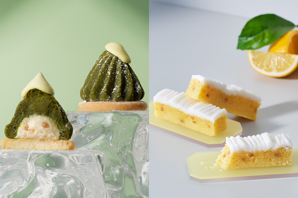 珀山コレクション